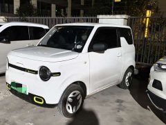 Geely Panda Mini 210km Vitality Edition - ფოტო 1