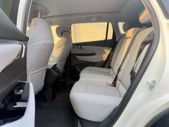Buick E5 Premium Standard Range Edition - ფოტო 5