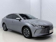 BYD Destroyer 05 2024 Glory Edition DM-i 55KM Luxury - ფოტო 3