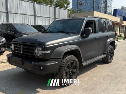 2021 Tank 300 Off-Road Edition 2.0T Conqueror - ავტომობილი ჩინეთიდან