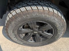 Tank 300 Off-Road Edition 2.0T Conqueror - ფოტო 4