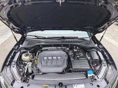 Volkswagen Passat 330TSI Luxury - ფოტო 7