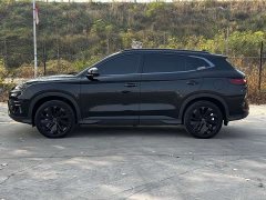 BYD Song Plus New Energy EV Glorious Edition 520km Luxury - ფოტო 6