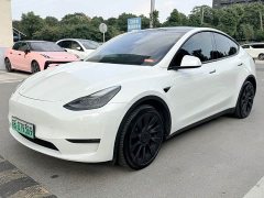 Tesla Model Y Long Range All-Wheel Drive - ფოტო 1