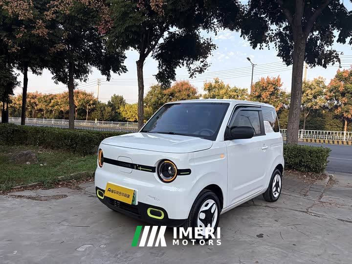Geely Panda Mini 210km Vitality Edition