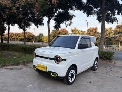 Geely Panda Mini 210km Vitality Edition - ფოტო 1