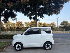 Geely Panda Mini 210km Vitality Edition - ფოტო 2