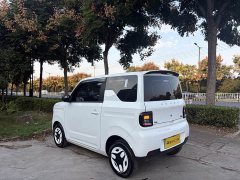 Geely Panda Mini 210km Vitality Edition - ფოტო 3