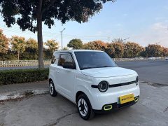 Geely Panda Mini 210km Vitality Edition - ფოტო 6
