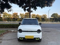 Geely Panda Mini 210km Vitality Edition - ფოტო 7