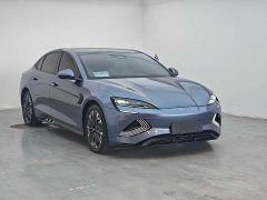 BYD Seal Champion Edition 550km Luxury - ფოტო 3