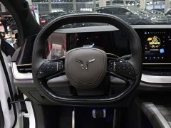 FAW Hongqi Tiangong 08 520 Max RWD Version - ფოტო 14