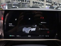 FAW Hongqi Tiangong 08 520 Max RWD Version - ფოტო 16