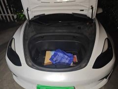 Tesla Model 3 Standard Range RWD Upgrade - ფოტო 16