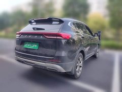 Haval H6 2021 National Trend 1.5T Automatic Champion Edition - ფოტო 4