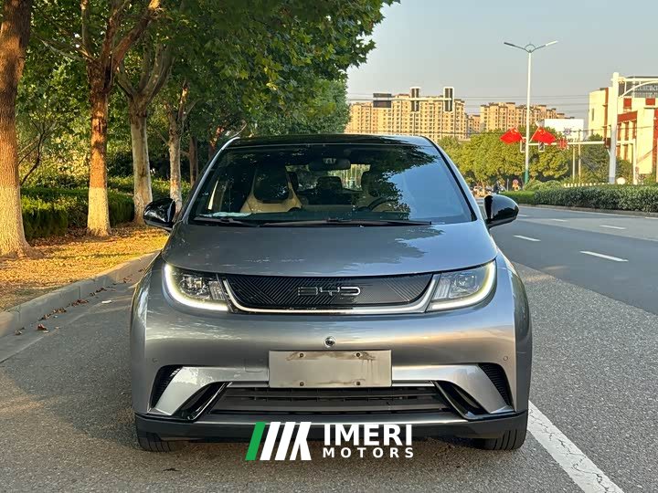 BYD Dolphin 420km Fashion Edition - ავტომობილი ჩინეთიდან