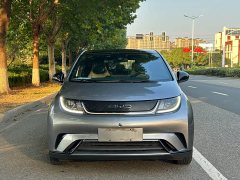 BYD Dolphin 420km Fashion Edition - ფოტო 1