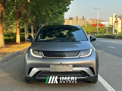 2023 BYD Dolphin 420km Fashion Edition - ავტომობილი ჩინეთიდან