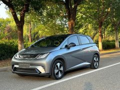 BYD Dolphin 420km Fashion Edition - ფოტო 2