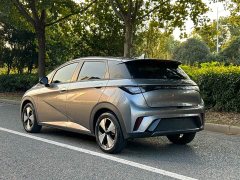 BYD Dolphin 420km Fashion Edition - ფოტო 3