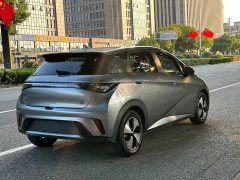 BYD Dolphin 420km Fashion Edition - ფოტო 5