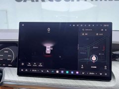 Tank 500 New Energy 2026 Hi4-T Smart Comfort Edition - ფოტო 15