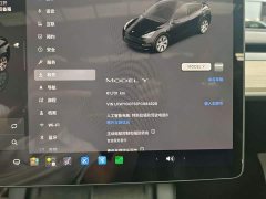 Tesla Model Y 2022 Facelift Rear-Wheel Drive - ფოტო 10