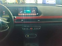 ORA Good Cat GT 2023 Mulan Edition 401km Luxury - ფოტო 13