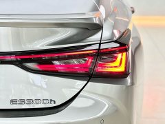 Lexus ES 300h Premium Edition - ფოტო 16