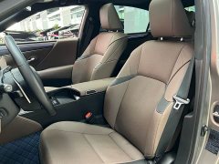 Lexus ES 300h Premium Edition - ფოტო 9