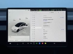 Tesla Model 3 2025 Rear-Wheel Drive - ფოტო 12