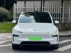 Tesla Model Y L Long Range All-Wheel Drive - ფოტო 2