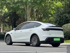 Tesla Model Y L Long Range All-Wheel Drive - ფოტო 9