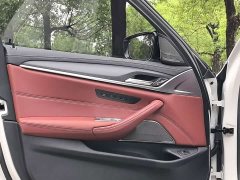 BMW 5 Series 530Li Luxury M Sport Package - ფოტო 11