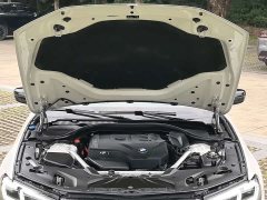 BMW 5 Series 530Li Luxury M Sport Package - ფოტო 14
