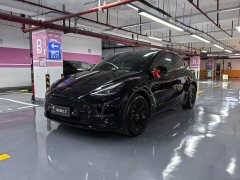 Tesla Model Y Standard Range RWD - ფოტო 1