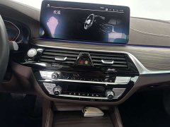 BMW 5 Series Facelift 530Li Premier Luxury Package - ფოტო 17