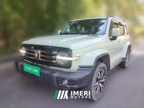 2022 Tank 300 City Edition 2.0T Stylish - car from China