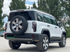 Beijing Jeep BJ40 Extended Range Long Endurance 201 Max - ფოტო 9