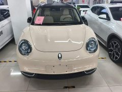 ORA Good Cat 400km Standard Range Venus Edition LFP Battery - ფოტო 2