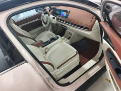 ORA Good Cat 400km Standard Range Venus Edition LFP Battery - ფოტო 7
