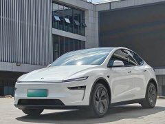 Tesla Model Y Rear-Wheel Drive - ფოტო 1
