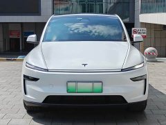 Tesla Model Y Rear-Wheel Drive - ფოტო 2