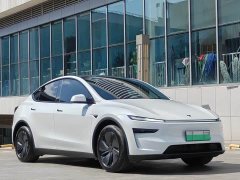 Tesla Model Y Rear-Wheel Drive - ფოტო 3