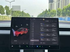 Tesla Model Y Rear-Wheel Drive - ფოტო 10