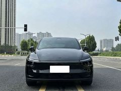 Tesla Model Y Rear-Wheel Drive - ფოტო 2