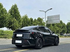 Tesla Model Y Rear-Wheel Drive - ფოტო 6