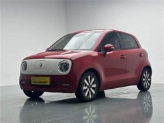 Ora Black Cat 405km Executive Edition - ფოტო 1