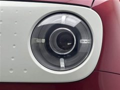 Ora Black Cat 405km Executive Edition - ფოტო 10