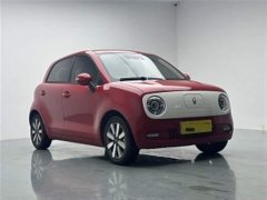 Ora Black Cat 405km Executive Edition - ფოტო 11